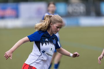 Bild 85 - wBJ Hamburger SV - FC Suederelbe : Ergebnis: 9:0
